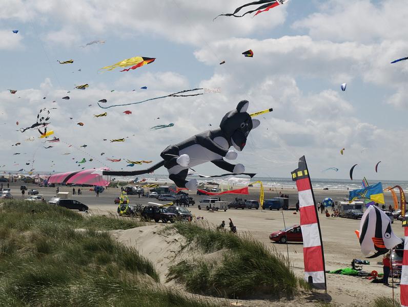 Fanø 2009 48.jpg